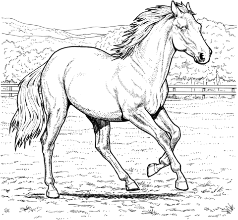 Running Mare Horse Coloring Page